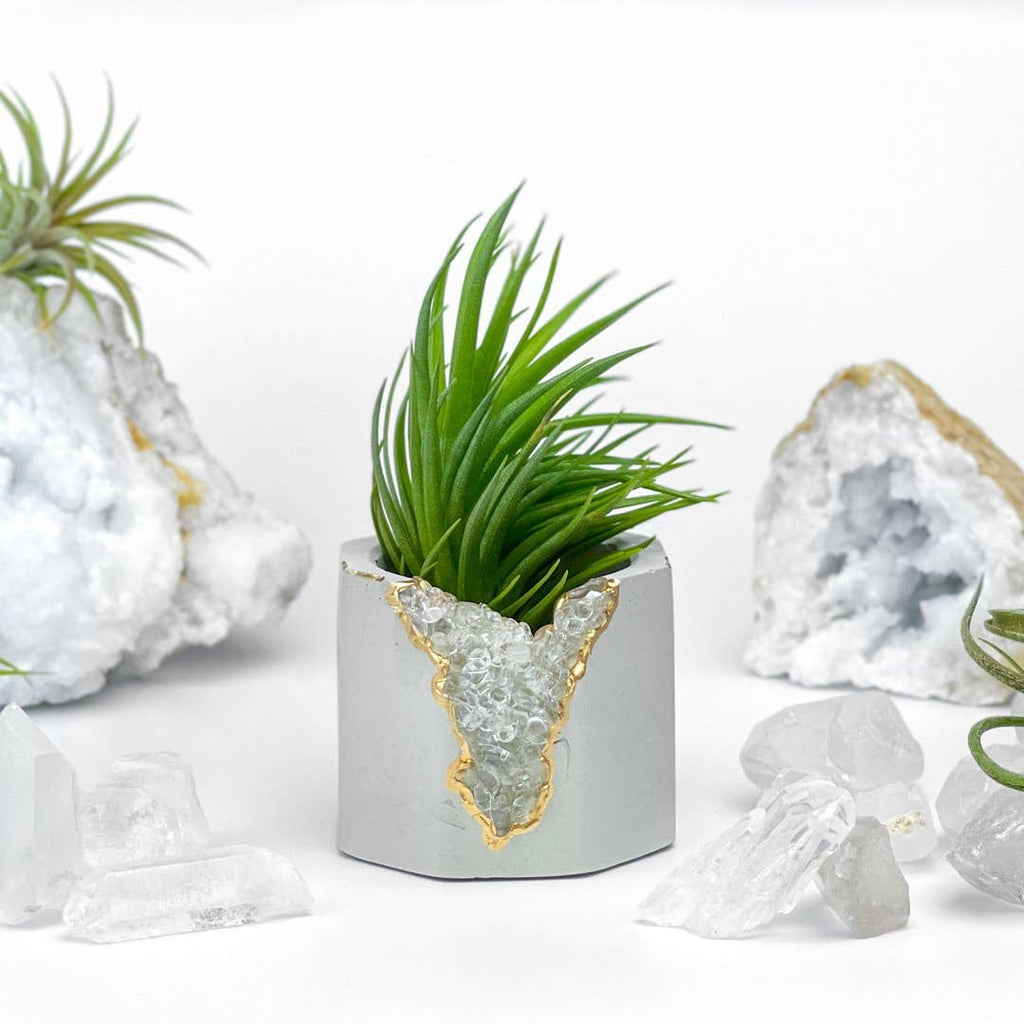 Clear Quartz Geode Planter, Air Plant Holder, Succulent Pot