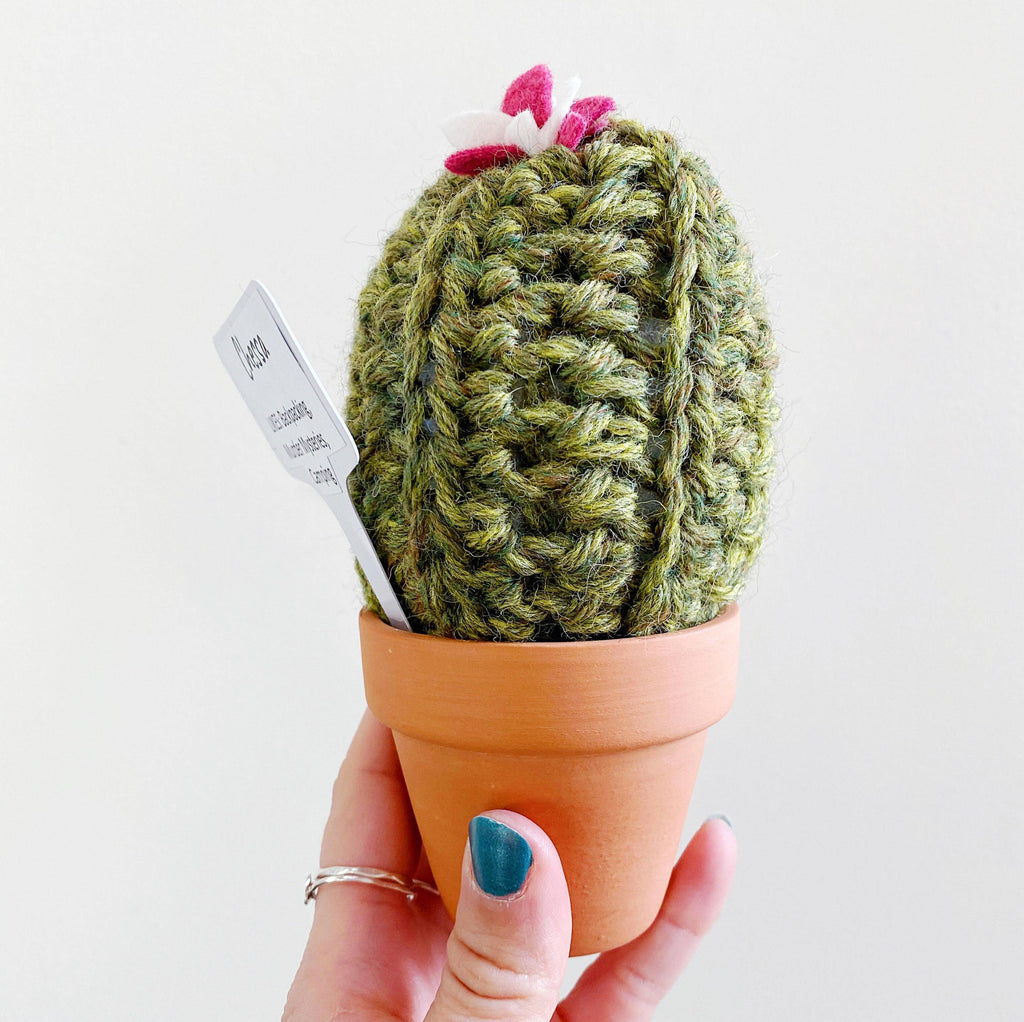 5 inch Cozy Crochet Cactus