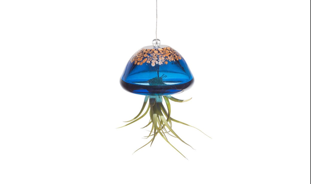 Jellyfish Hand Blown Art Glass Air Plant Holder (no plant) - Enchanted Gardens of Minnesota